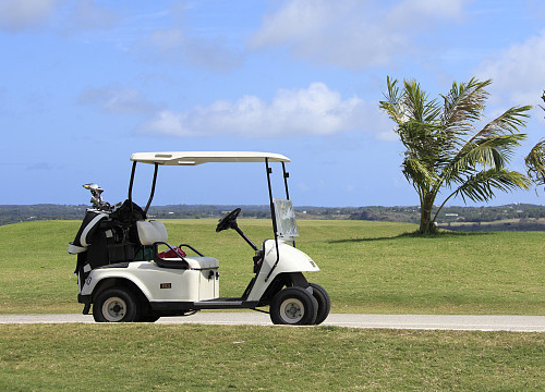 Golf Cart Lithium Battery