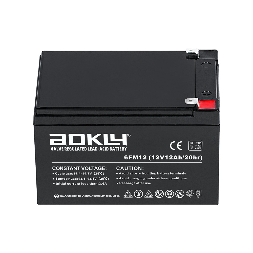 Batterie Aokly Gel Vrla GEL. 6GFM100G. 100Ah 12V. (330x172x214mm) - VT  BATTERIES