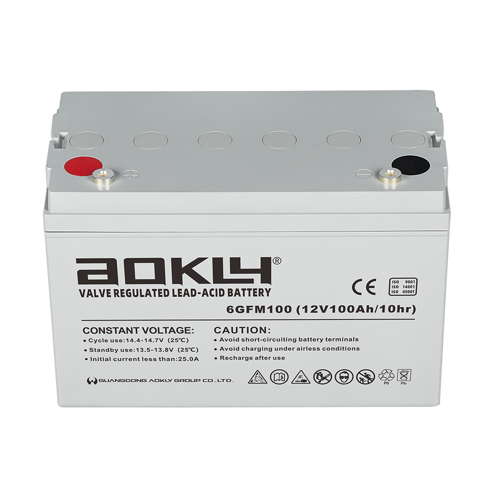 Aokly Agm Vrla Battery Batterie AGM. 6GFM100. 100Ah 12V. (330x172x214mm) -  VT BATTERIES