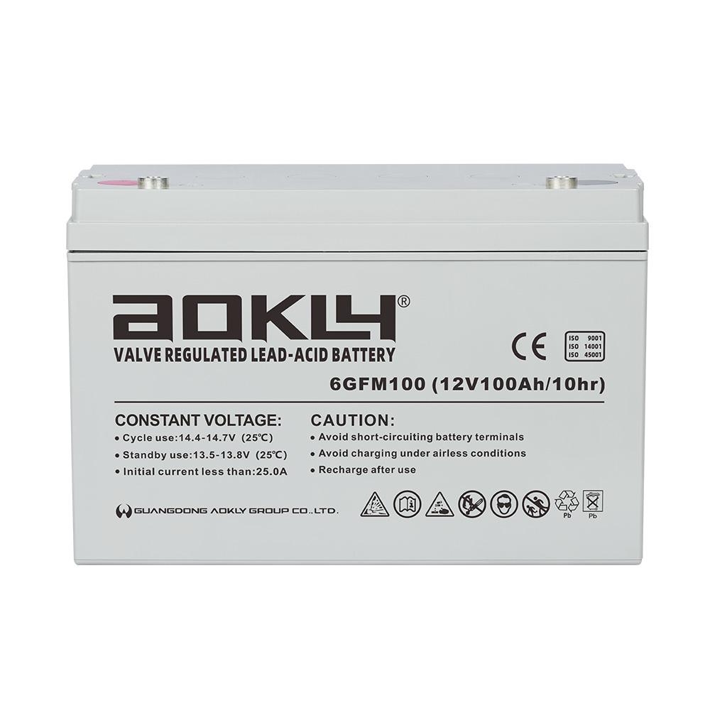 Aokly Agm Vrla Battery Batterie AGM. 6GFM100. 100Ah 12V. (330x172x214mm) -  VT BATTERIES