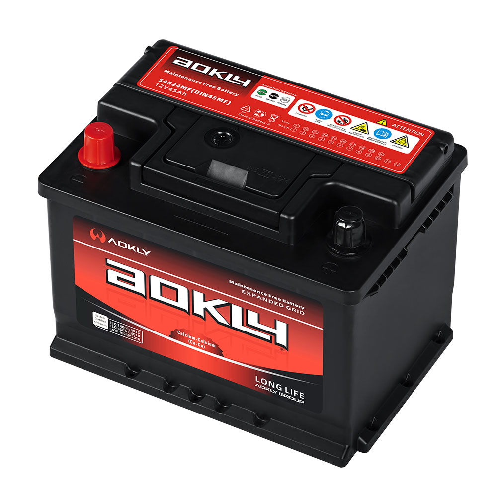 Agm Automotive Battery