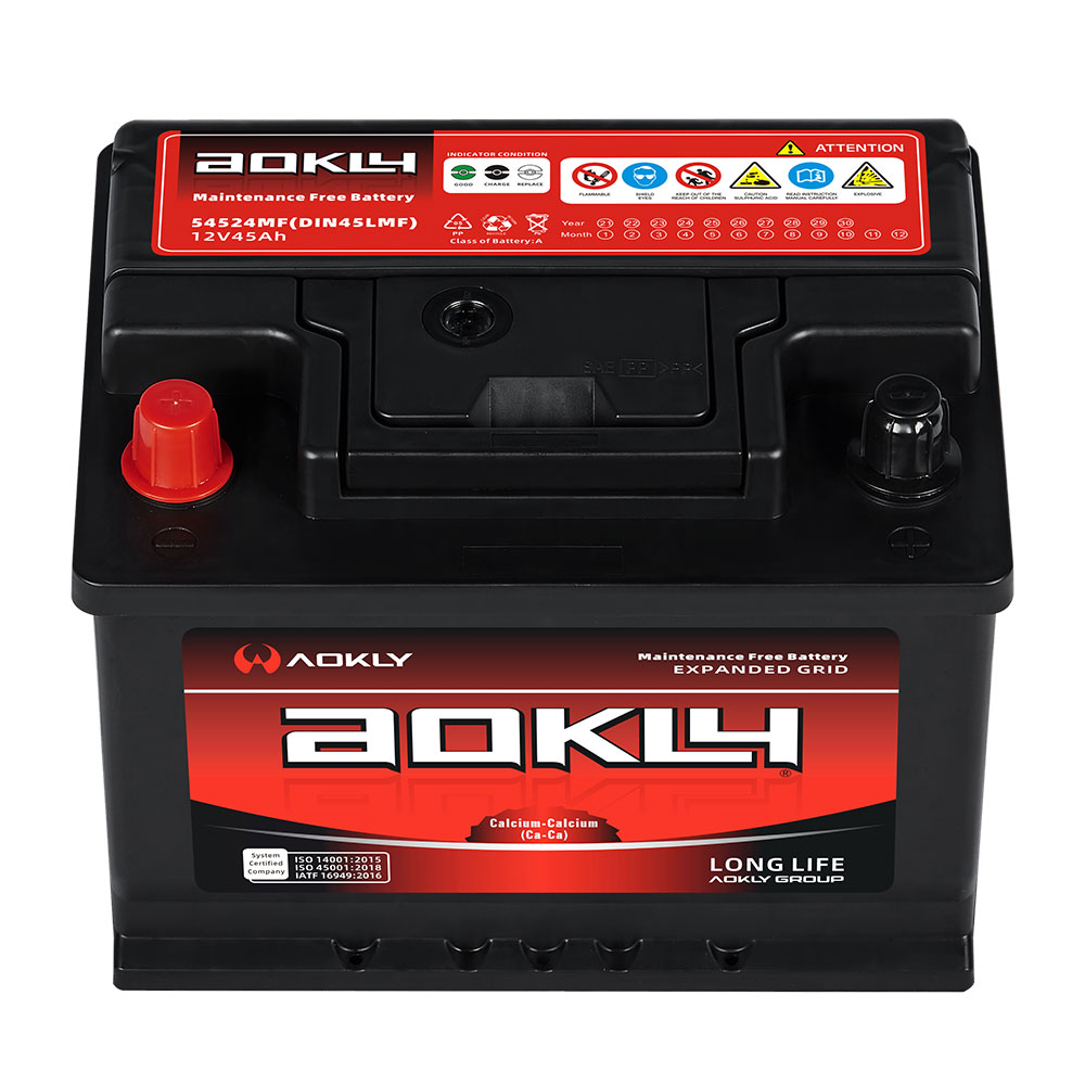 Battery Shop AOKLY Vrla AGM 6GFM100 12V 100Ah