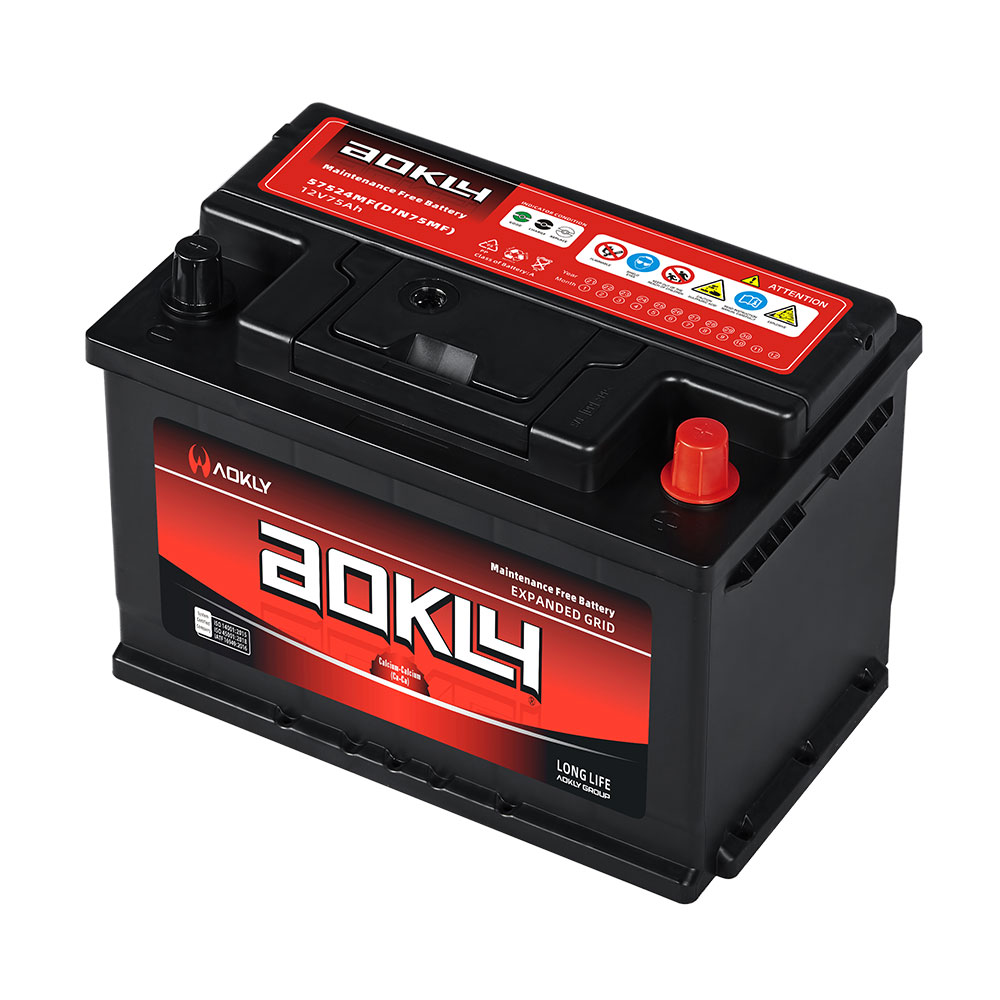 Maintenance Free Battery