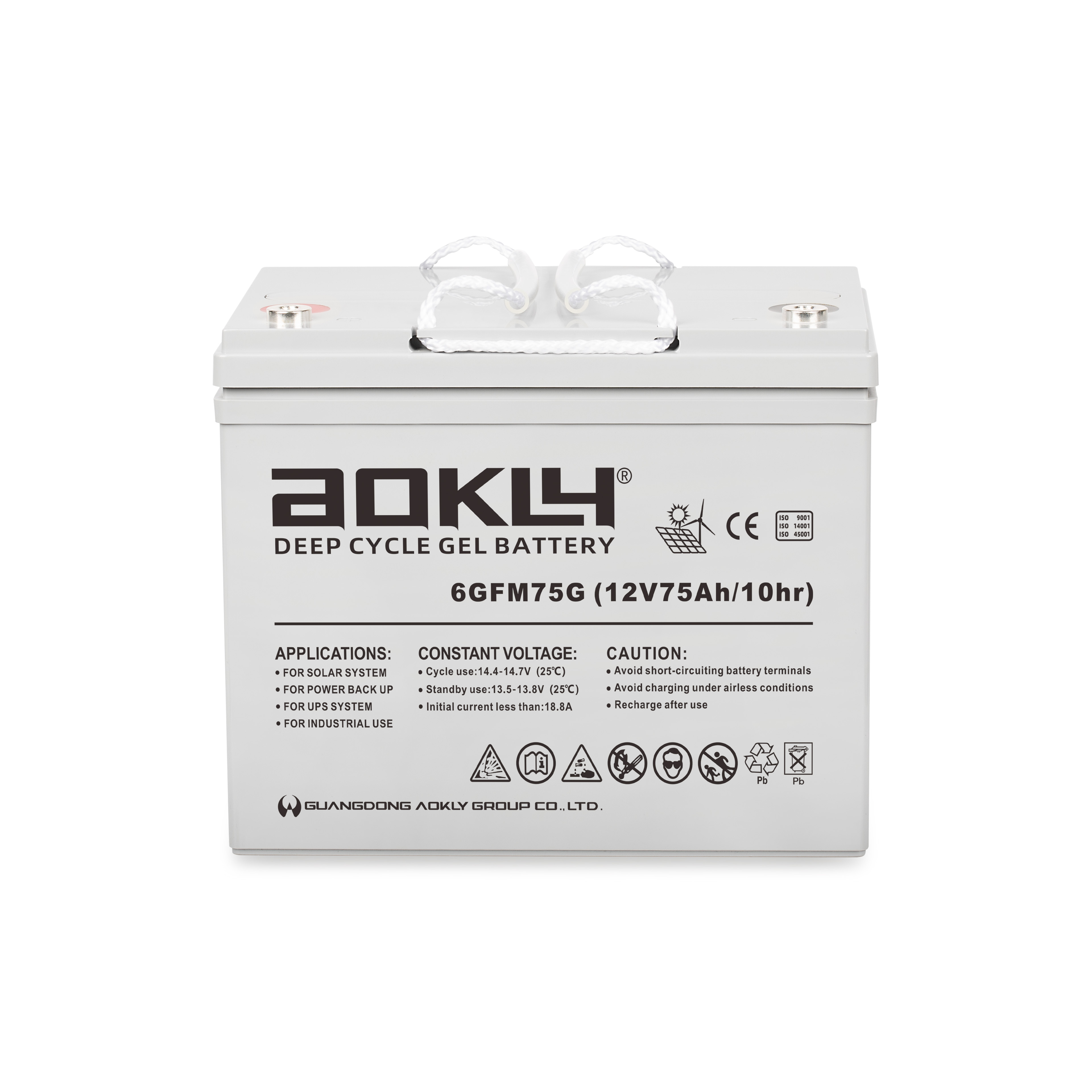 Aokly Agm Vrla Battery Batterie AGM. 6GFM100. 100Ah 12V