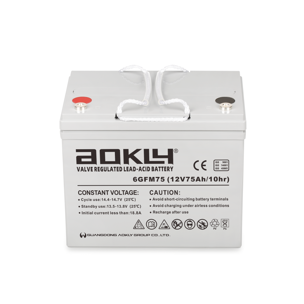 Batterie Aokly Gel Vrla GEL. 6GFM100G. 100Ah 12V. (330x172x214mm) - VT  BATTERIES