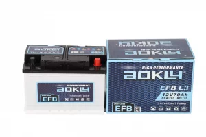 EFB car battery