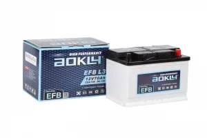 enhanced flooded battery