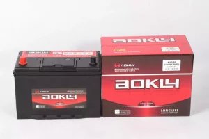 maintenance free deep cycle battery