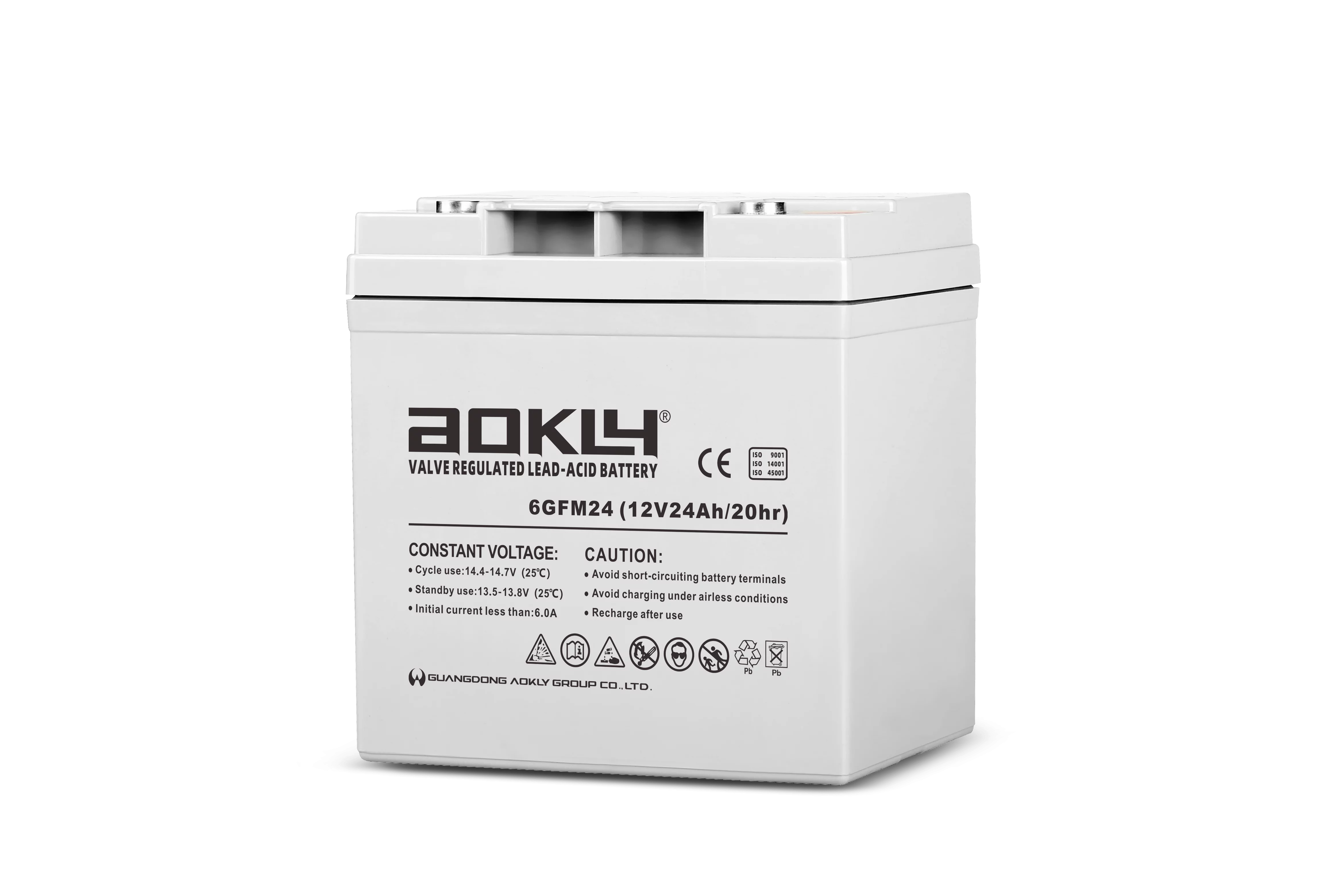 12 volt lead acid battery